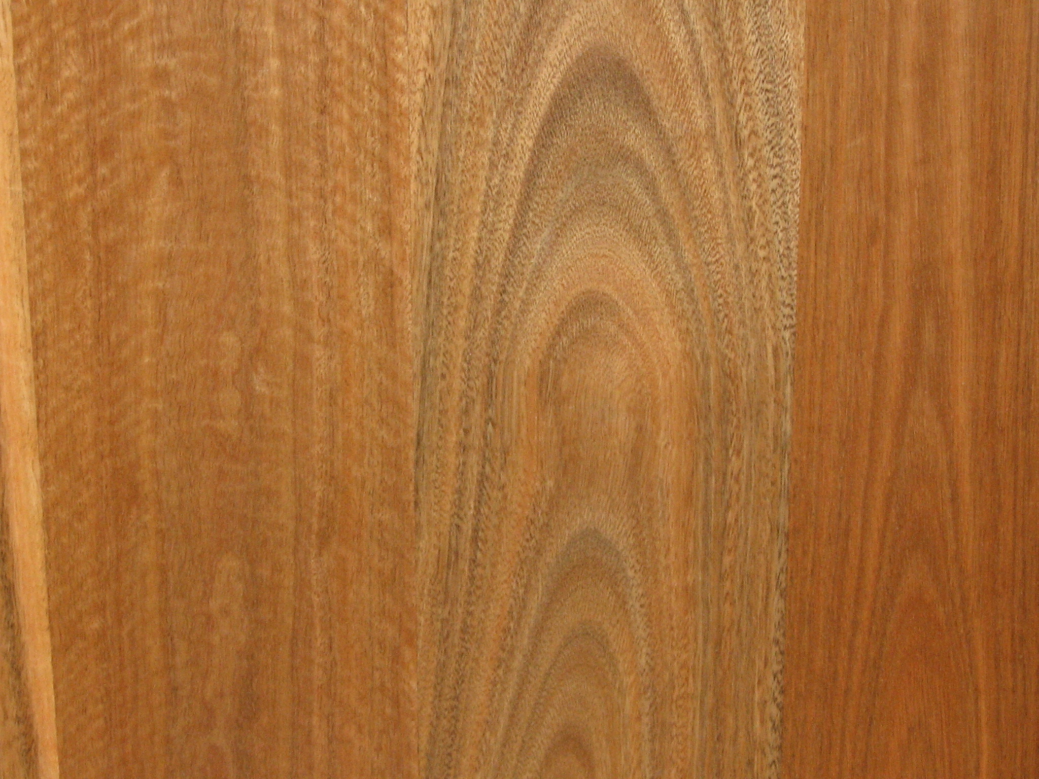 Spotted Gum Queensland Timber Flooring