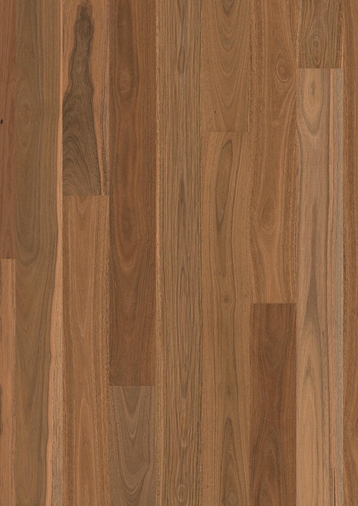 Australian Native Spotted Gum Queensland Timber Flooring