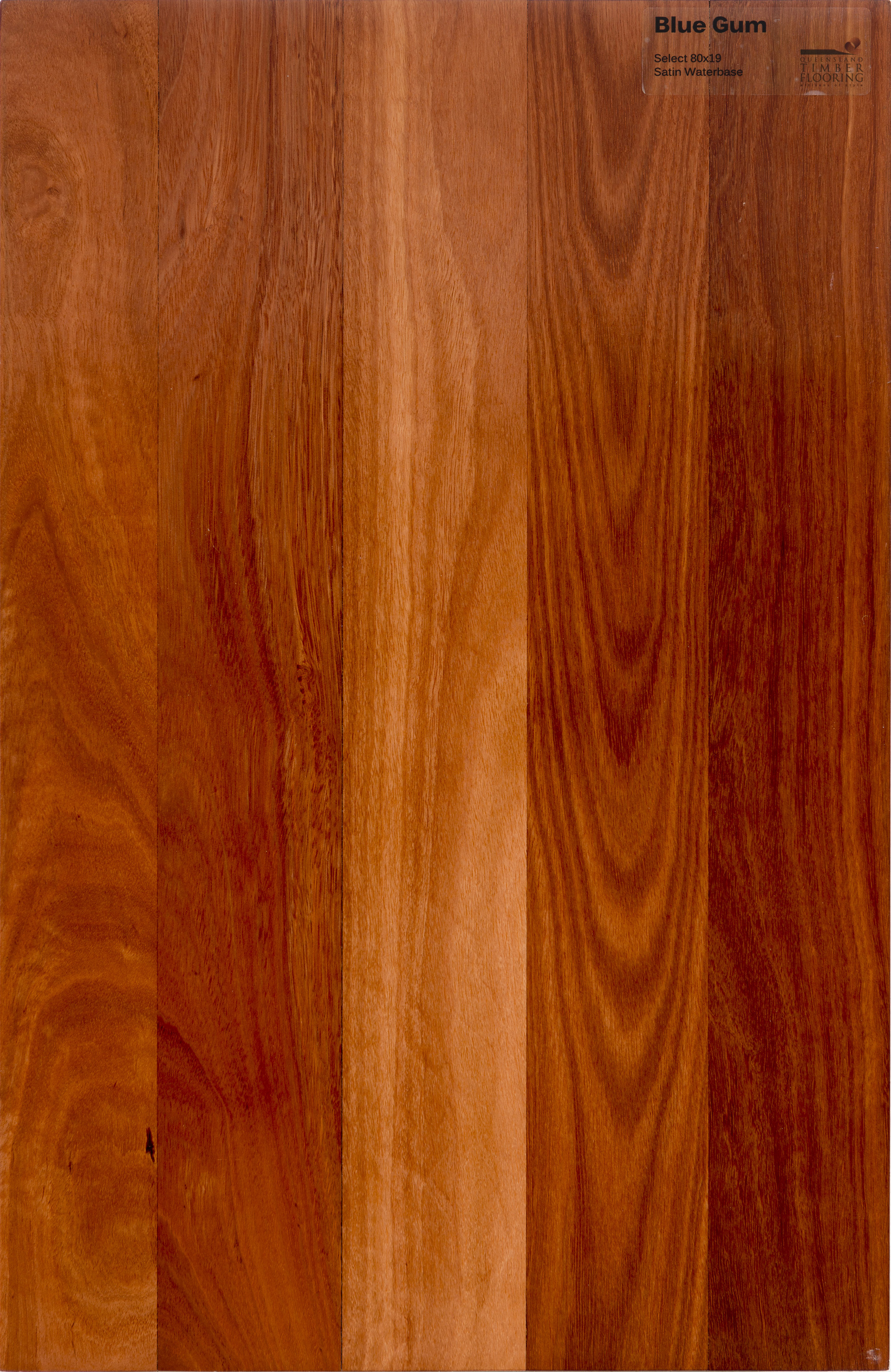 Sydney Blue Gum Queensland Timber Flooring