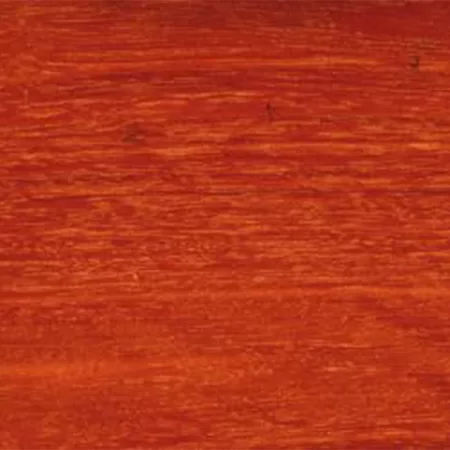 Forest Red Gum