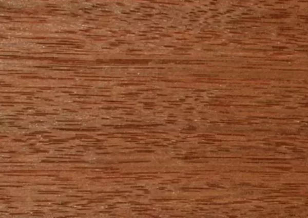 Red Mahogany