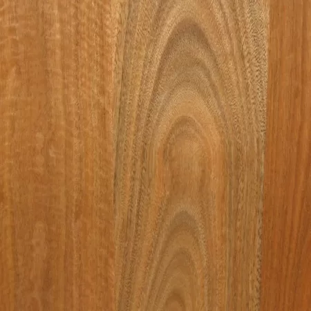 Spotted Gum